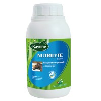 Ravene - Nutrilyte récupérateur d'électrolytes 500 ml