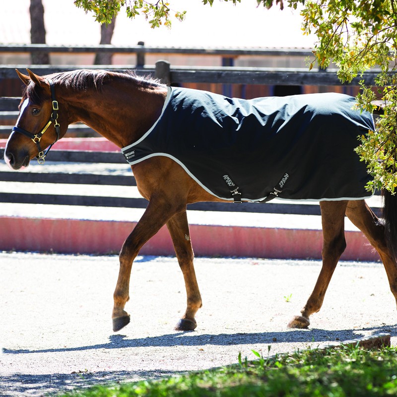 couverture pour marcheur chevaux