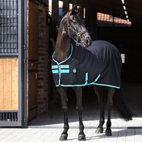 Amigo "Stable Sheet Polyester" - Noir/Teal