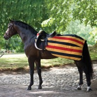 Horseware, Couvre reins  RAMBO "New Market" -