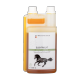 Waldhausen - Electrolytes liquide