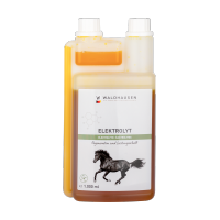 Waldhausen - Electrolytes liquide