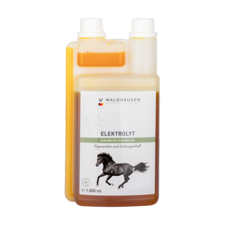 Waldhausen - Electrolytes liquide